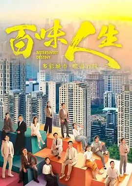 欧美va剧集盐沼之家海报